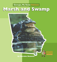 Marsh and Swamp